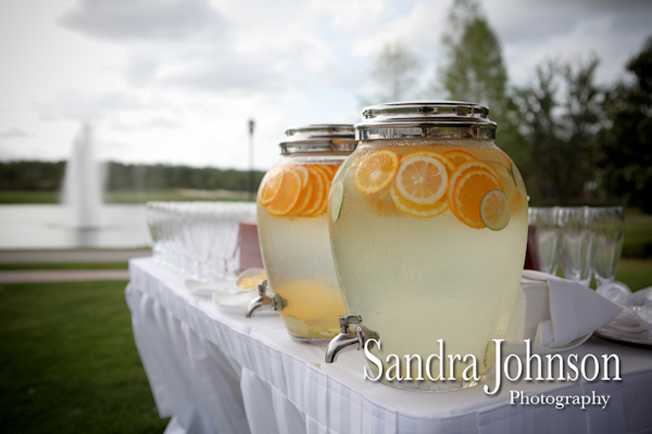 Best Ritz Carlton wedding photographer - Sandra Johnson (SJFoto.com)